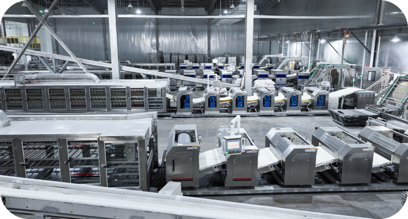 引進先進設備與工藝